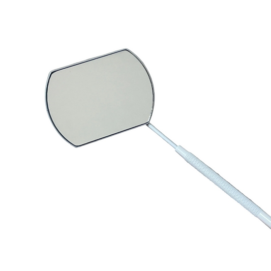 Lash mirror